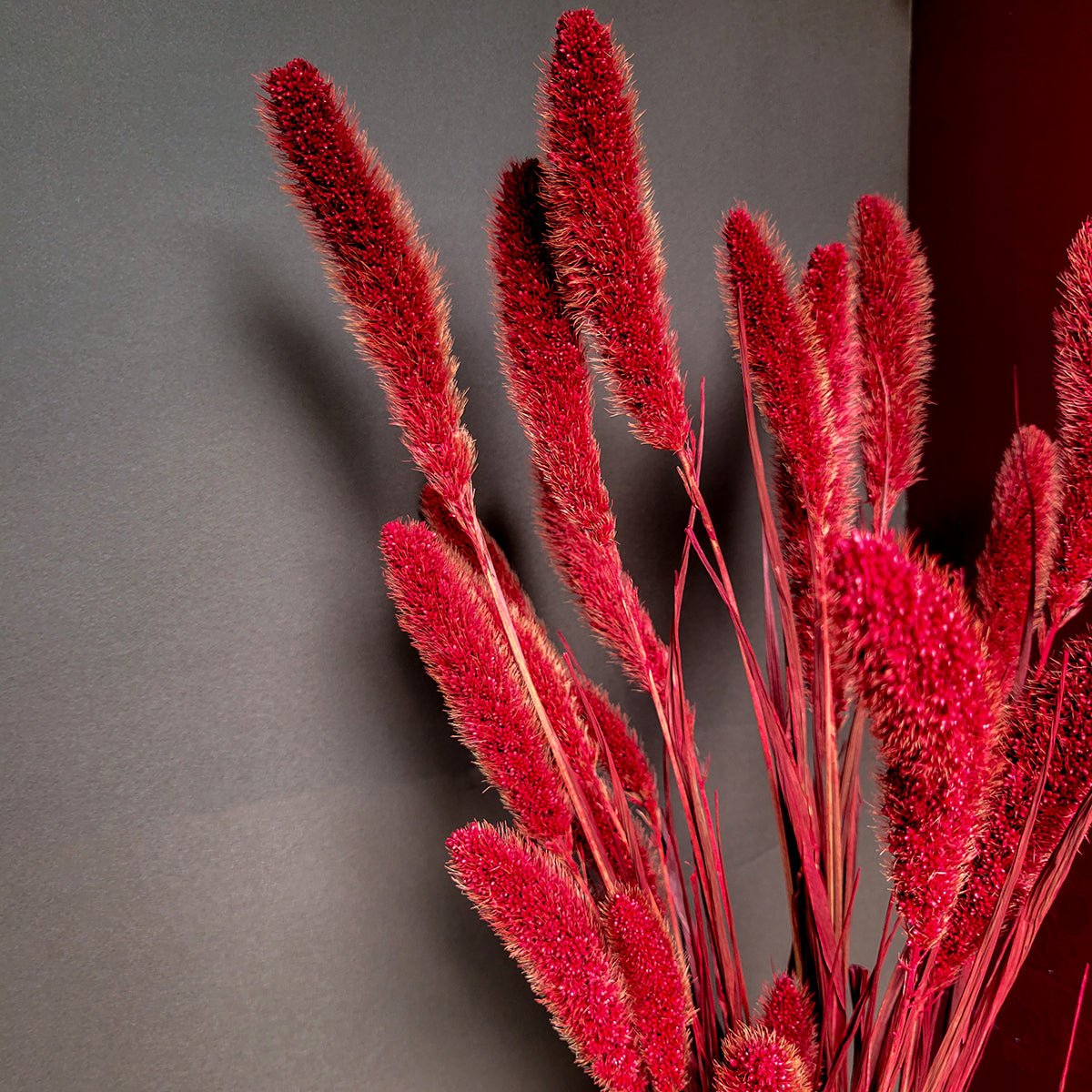 26" Dried Red Setaria Bunch - Mossy Moss by Olia
