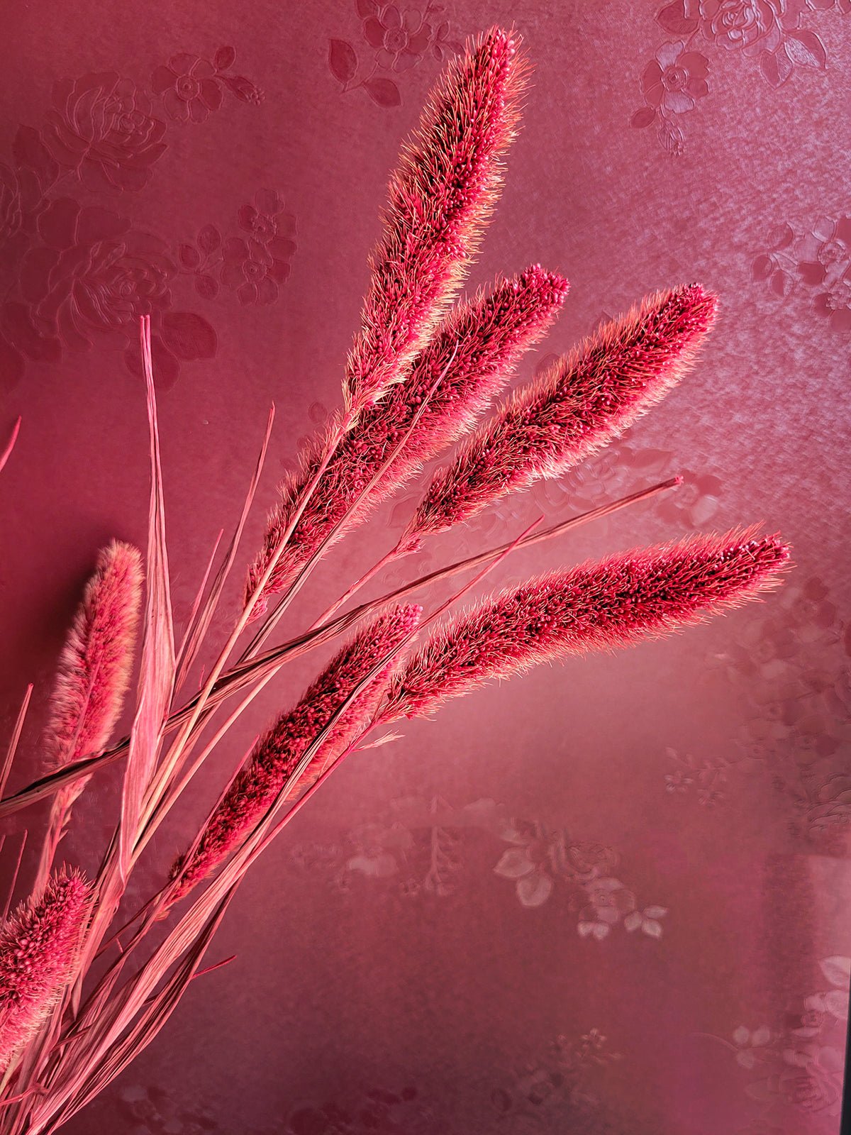 26" Dried Red Setaria Bunch - Mossy Moss by Olia