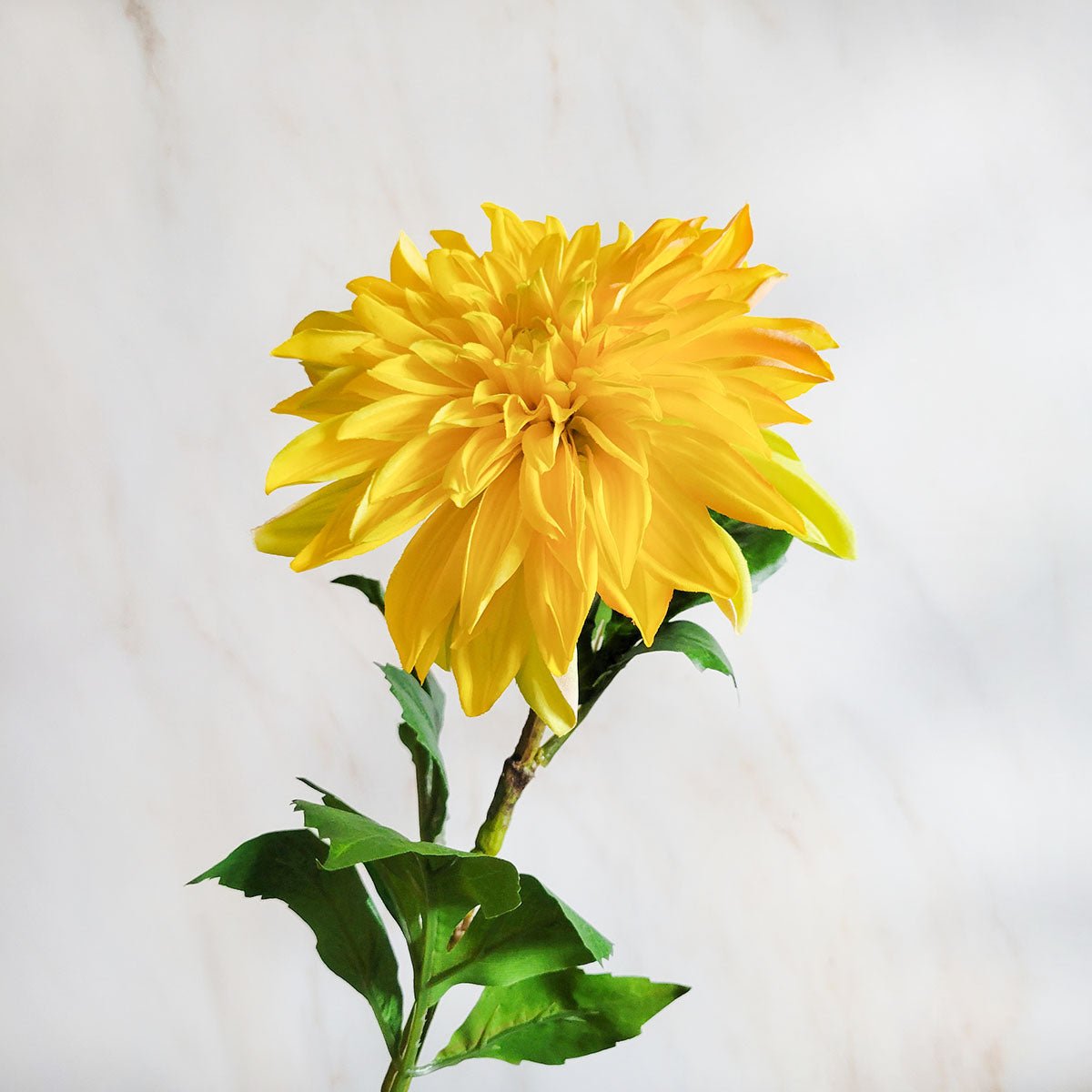 28" Artificial Yellow Dahlia Stem - Mossy Moss by Olia