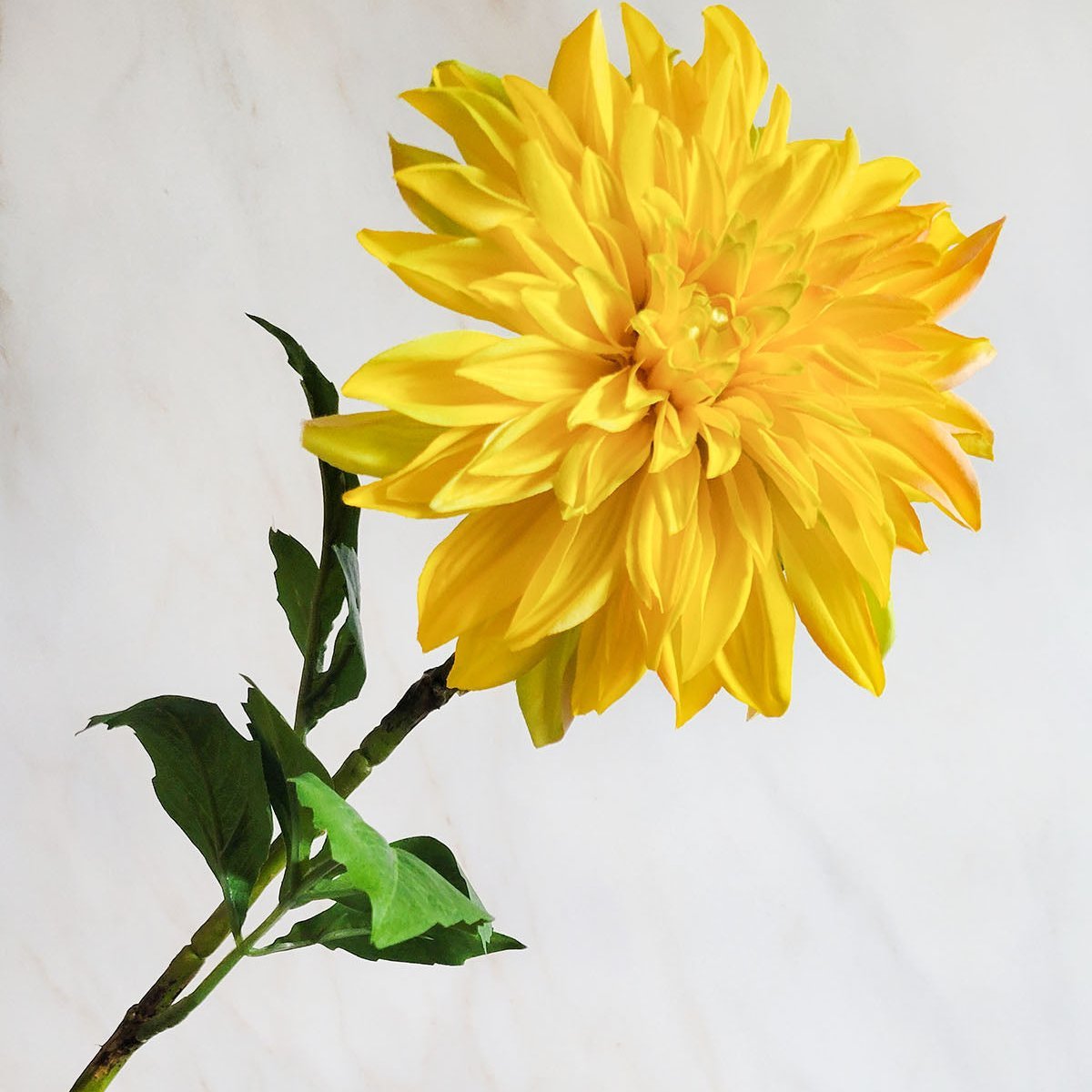 28" Artificial Yellow Dahlia Stem - Mossy Moss by Olia