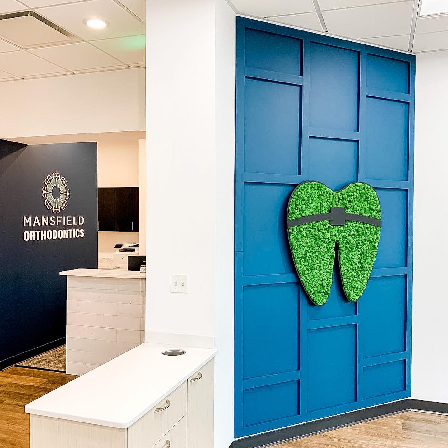 Preserved Moss Tooth for Dentist Offices