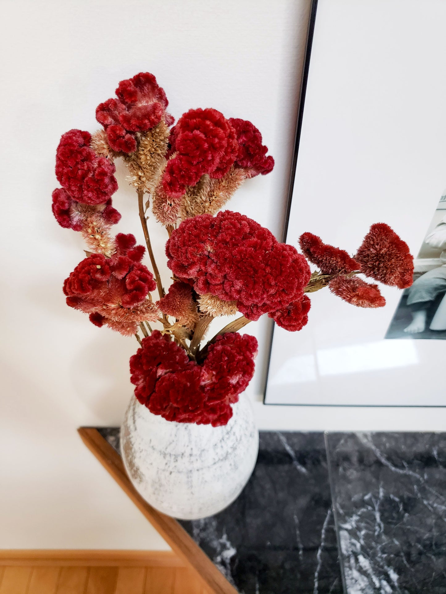 Dried Red Cockscomb Celosia Bundle