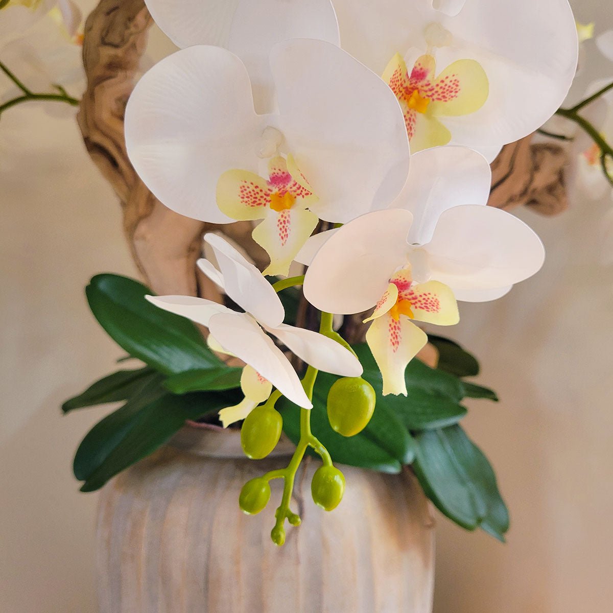 Artificial White Orchid Arrangement in Ceramic Vase - Mossy Moss by Olia