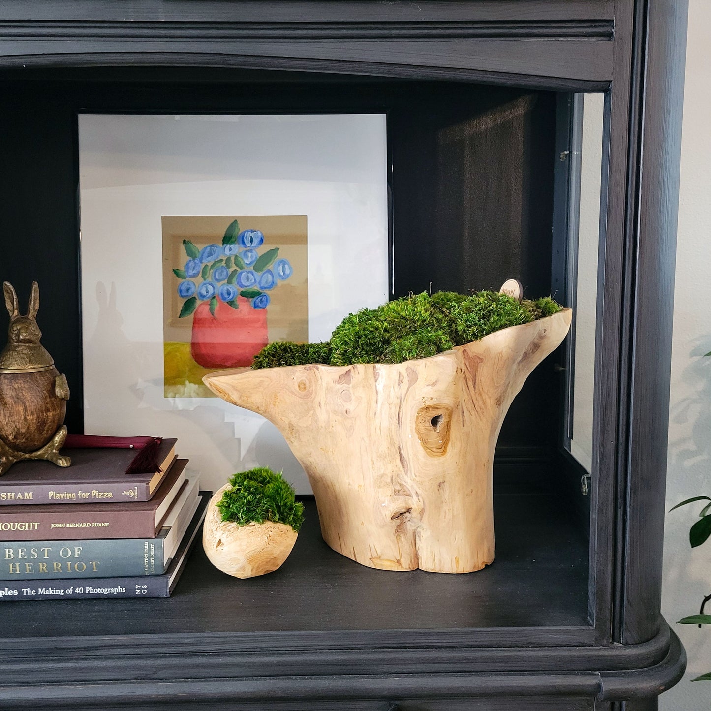 Decorative Teakwood Bowl filled Preserved Mood Moss - Mossy Moss by Olia