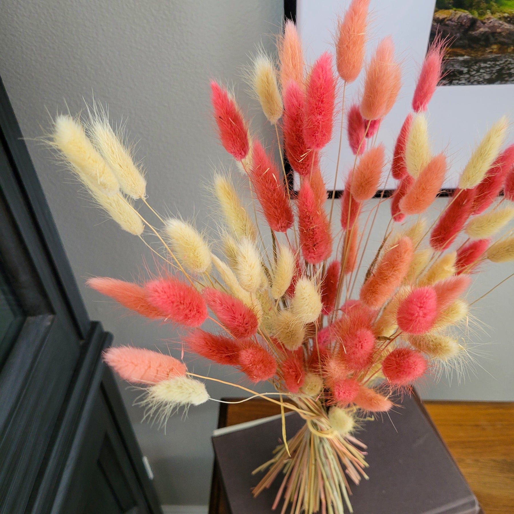 Dried Bunny Tail Bunch – 19.5” | Natural & Fluffy Lagurus Ovatus - Mossy Moss by Olia