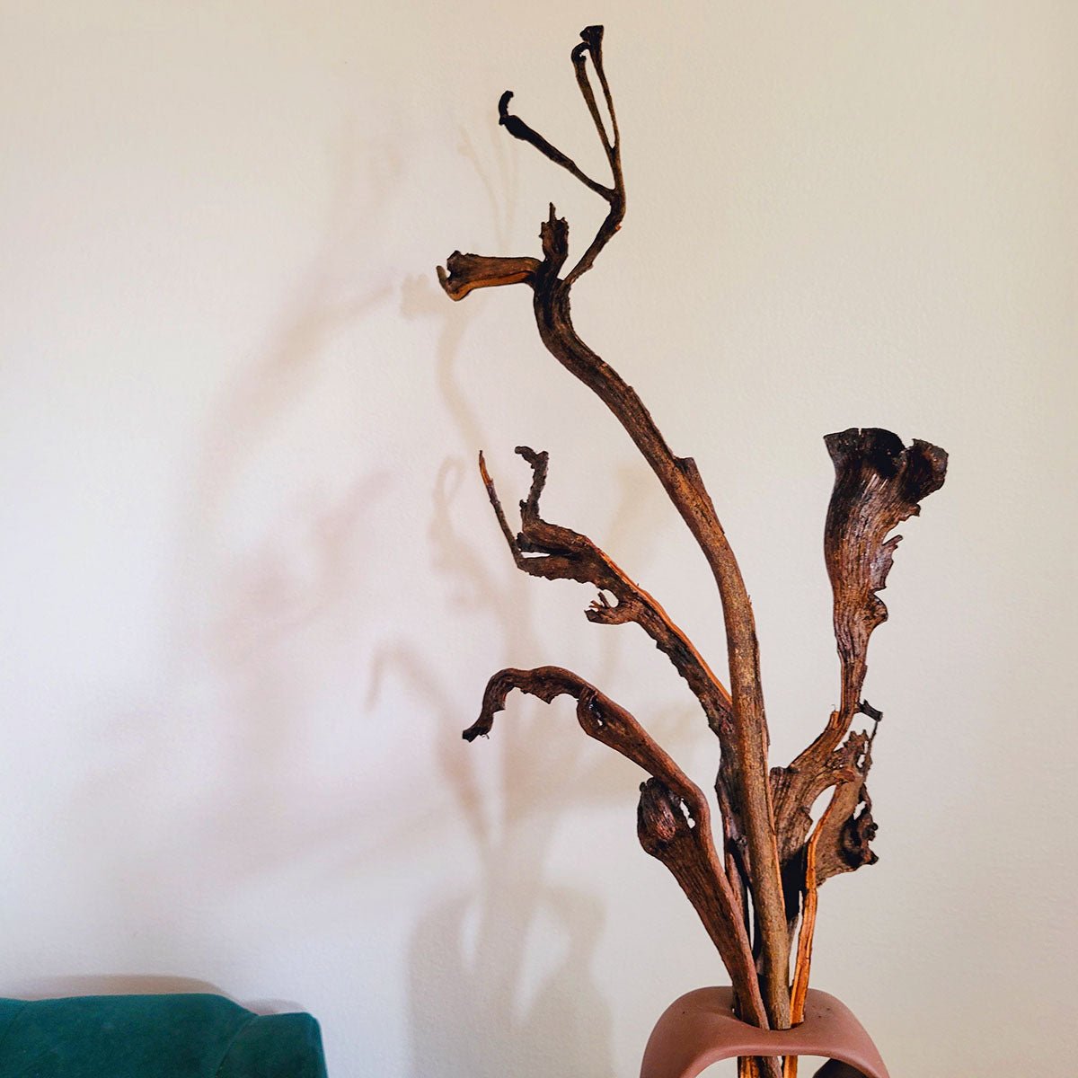 Dried Natraj Branches - Mossy Moss by Olia
