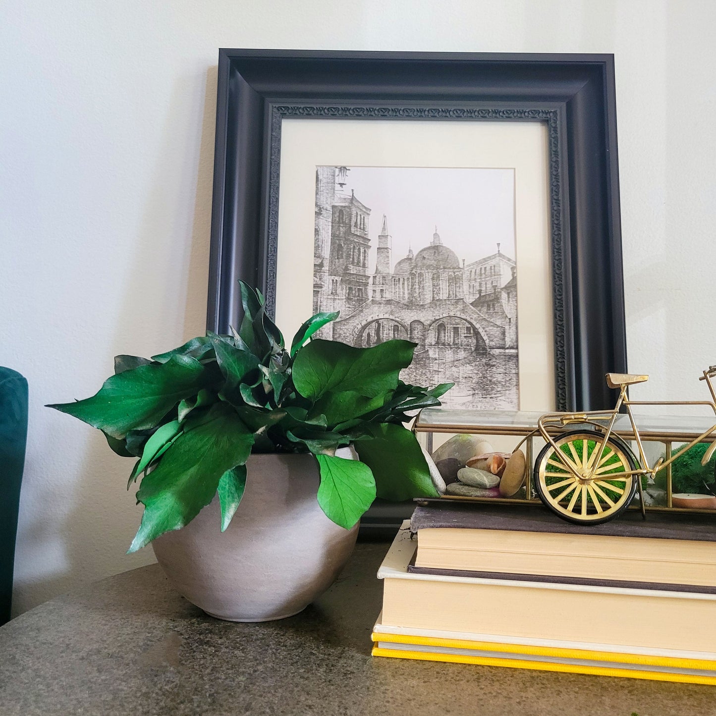 Preserved Potted Green Ivy - Mossy Moss by Olia