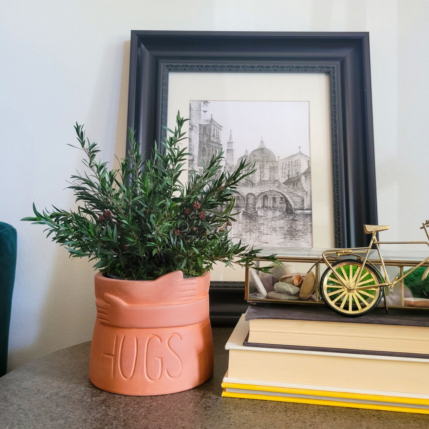 Preserved Potted Green Lepto Lungifolia Plant - Mossy Moss by Olia