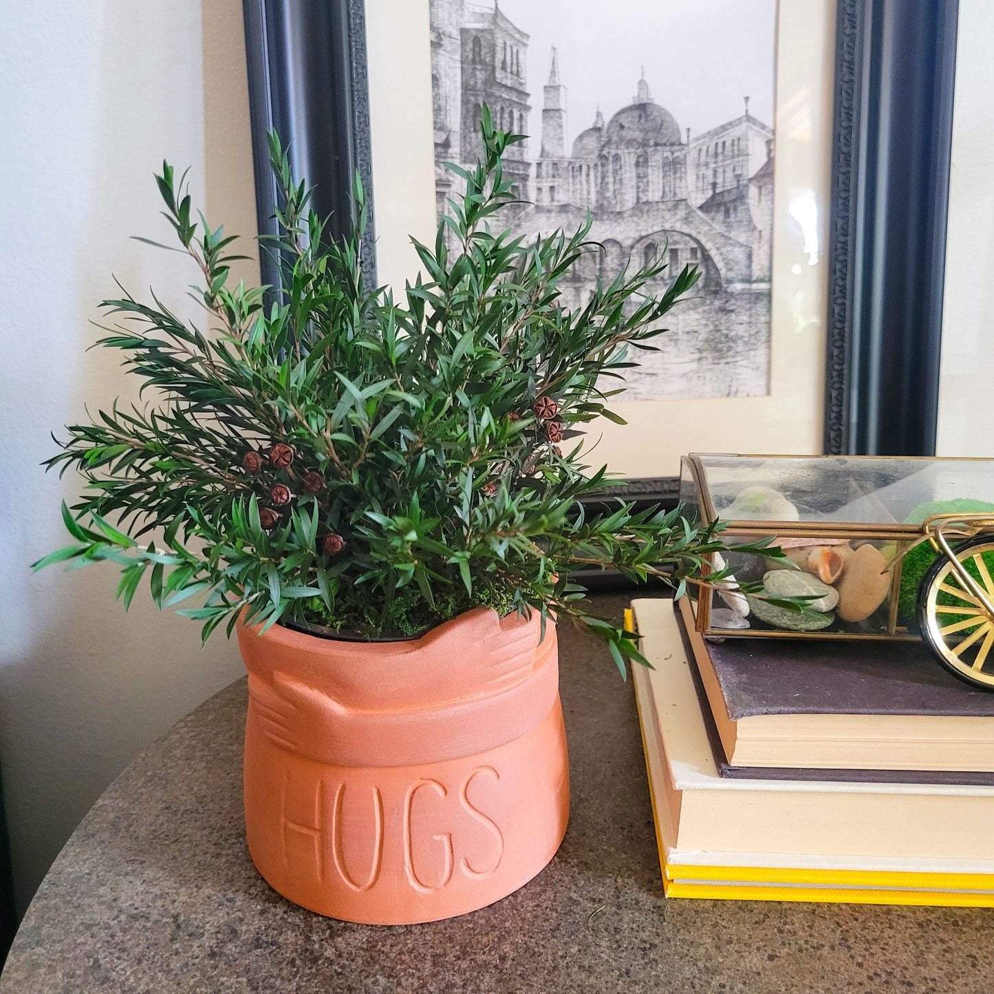 Preserved Potted Green Lepto Lungifolia Plant - Mossy Moss by Olia