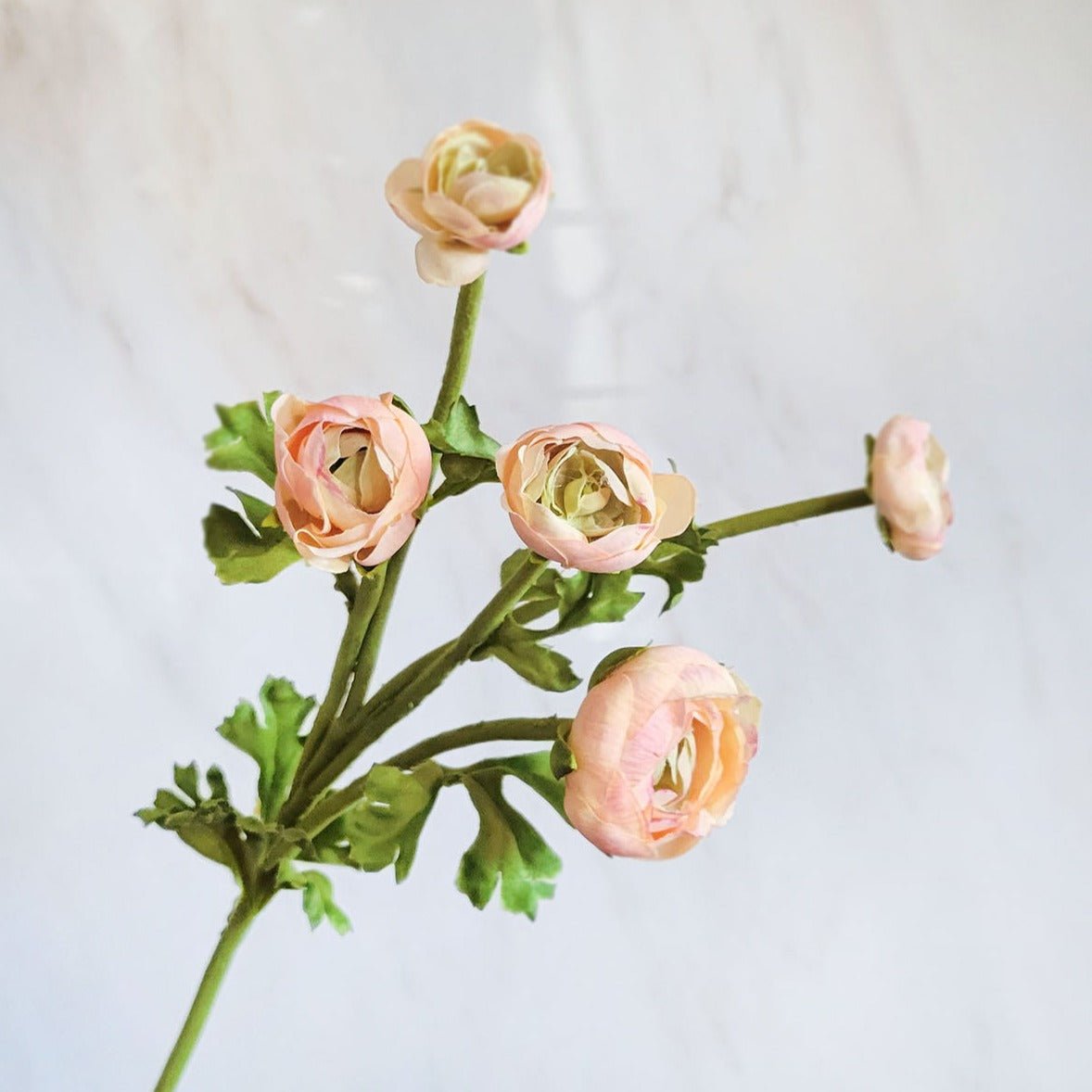 Real Touch Apricot Ranunculus Flower 22" - Mossy Moss by Olia