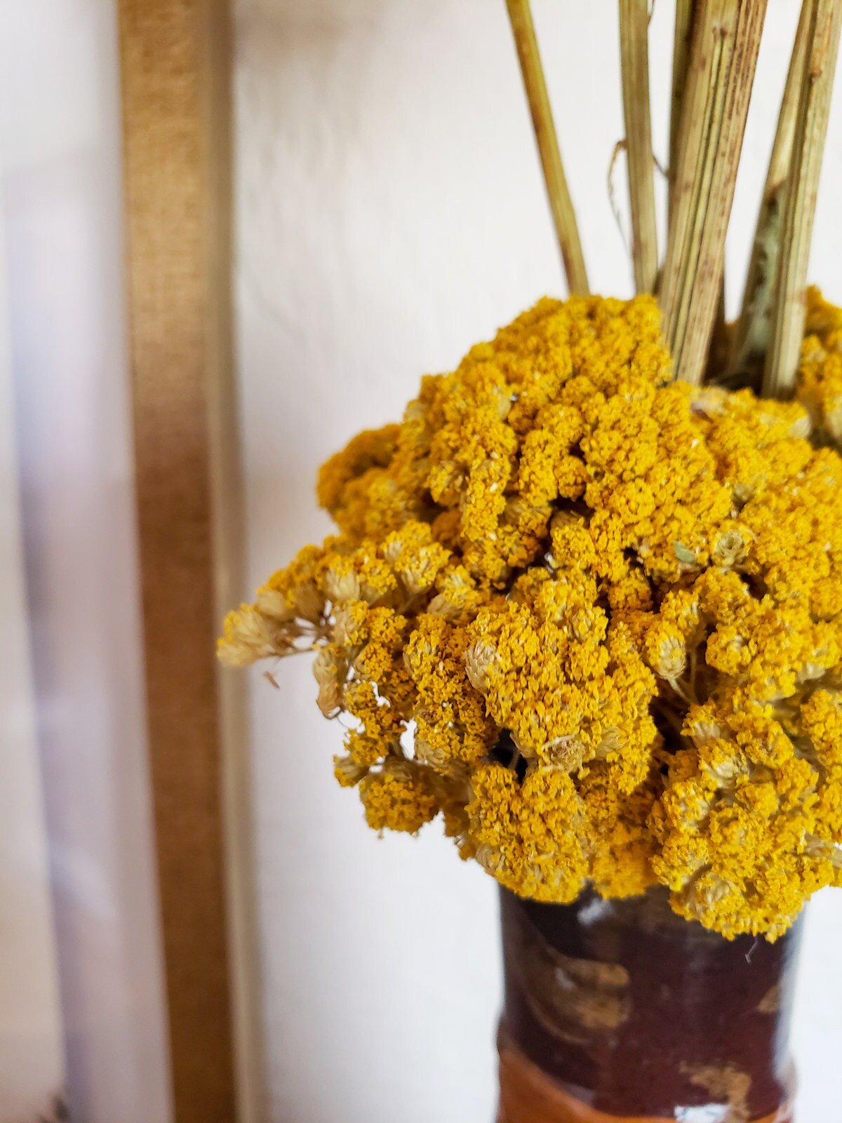 Air dried Yellow Yarrow - Mossy Moss by Olia