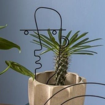 Black Metal Face Plant Stick Trellis - Mossy Moss by Olia