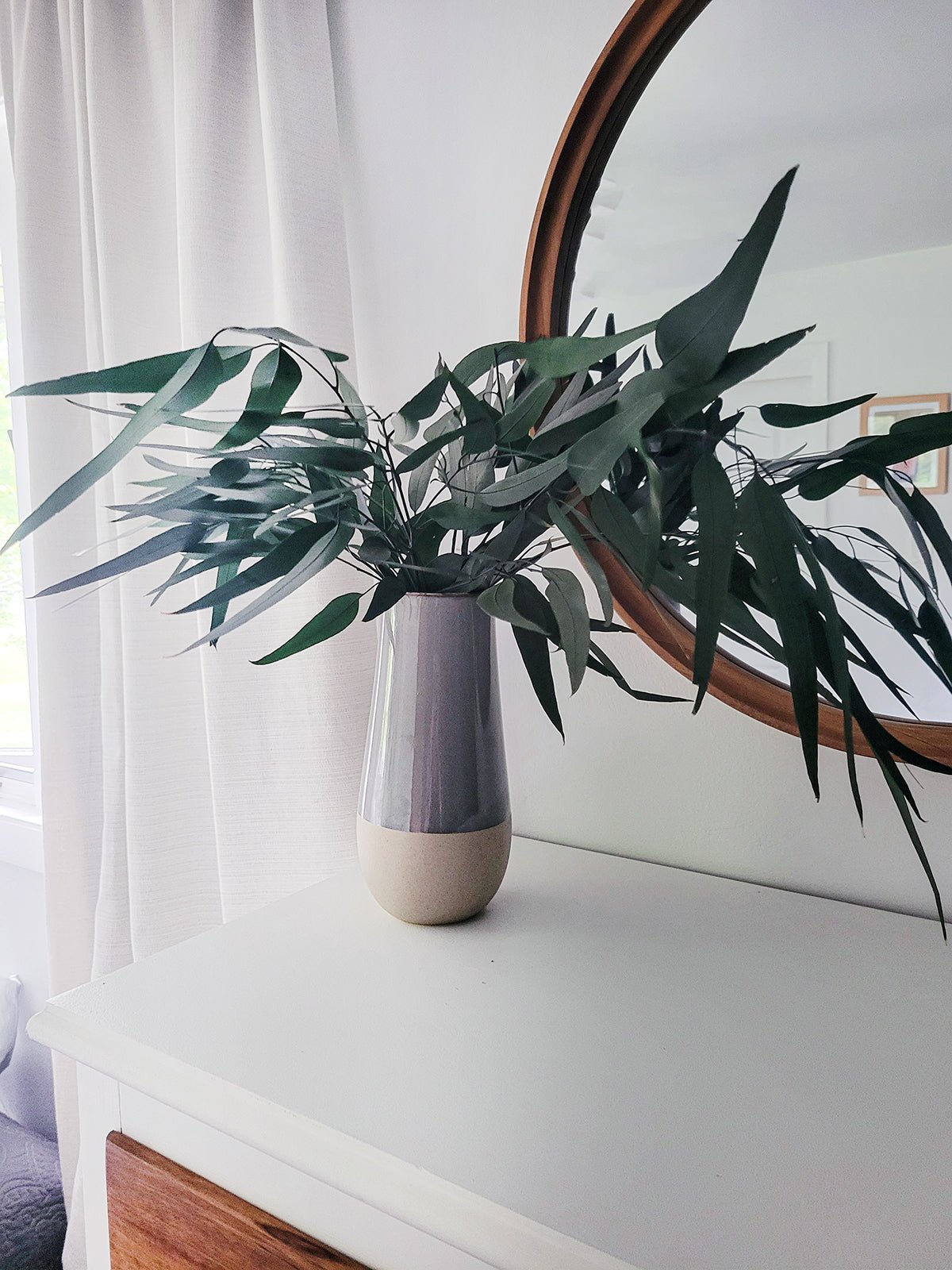 Deep Green Preserved Willow Eucalyptus - Mossy Moss by Olia