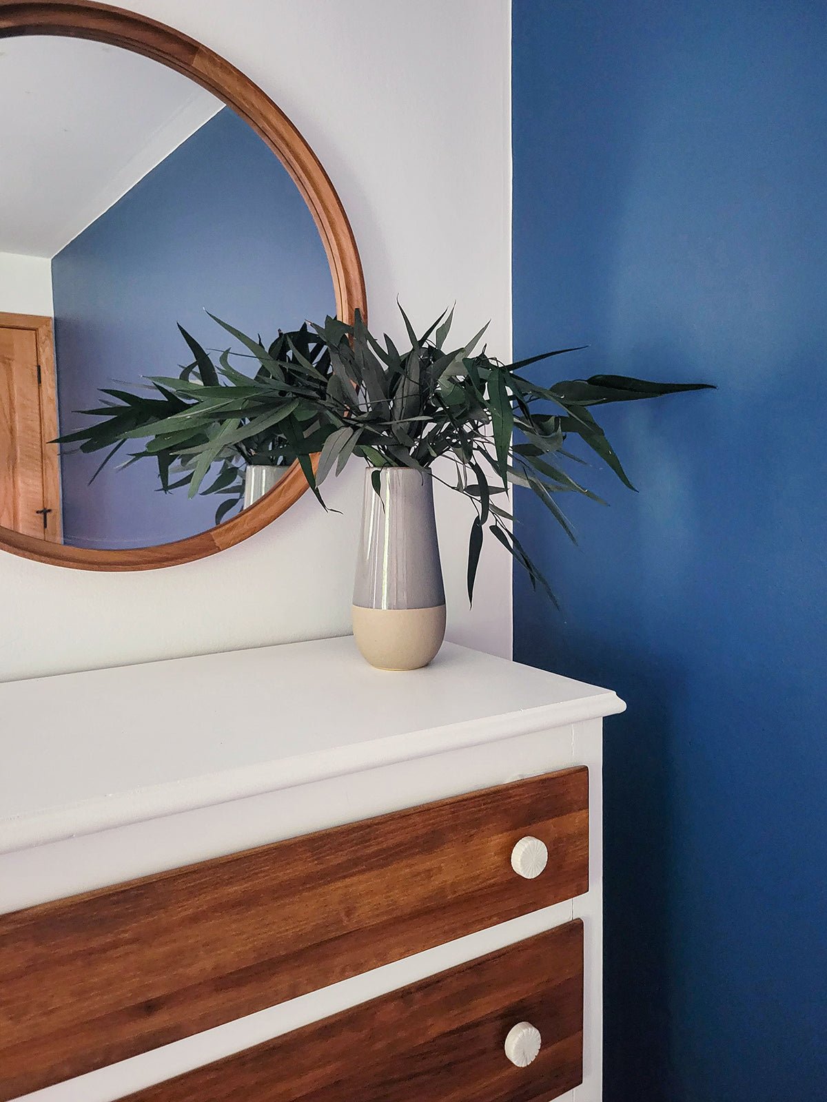 Deep Green Preserved Willow Eucalyptus - Mossy Moss by Olia