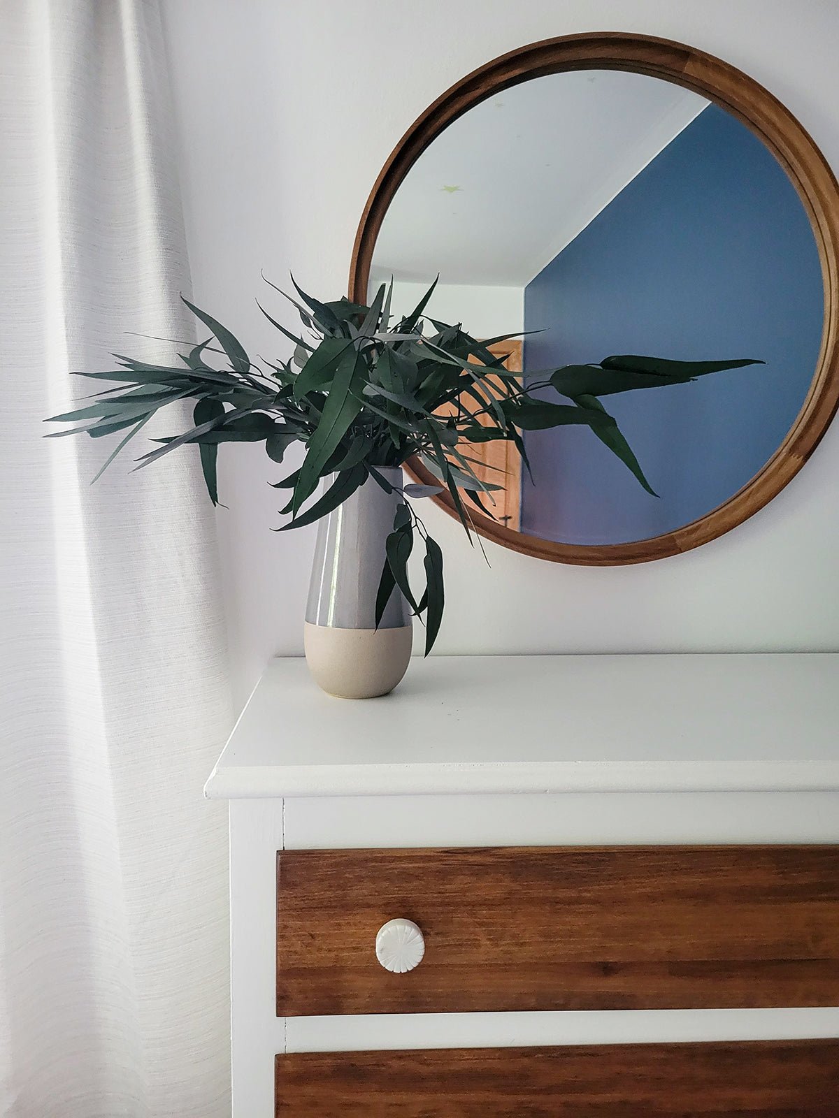 Deep Green Preserved Willow Eucalyptus - Mossy Moss by Olia