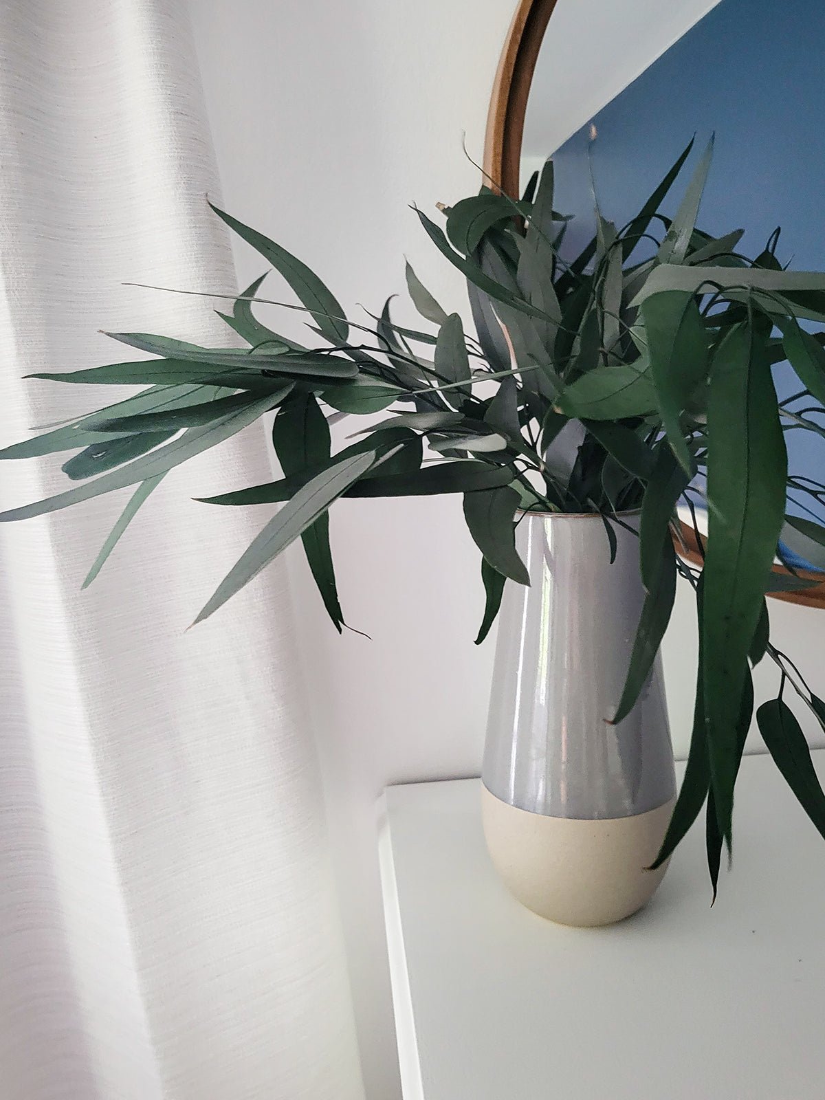 Deep Green Preserved Willow Eucalyptus - Mossy Moss by Olia