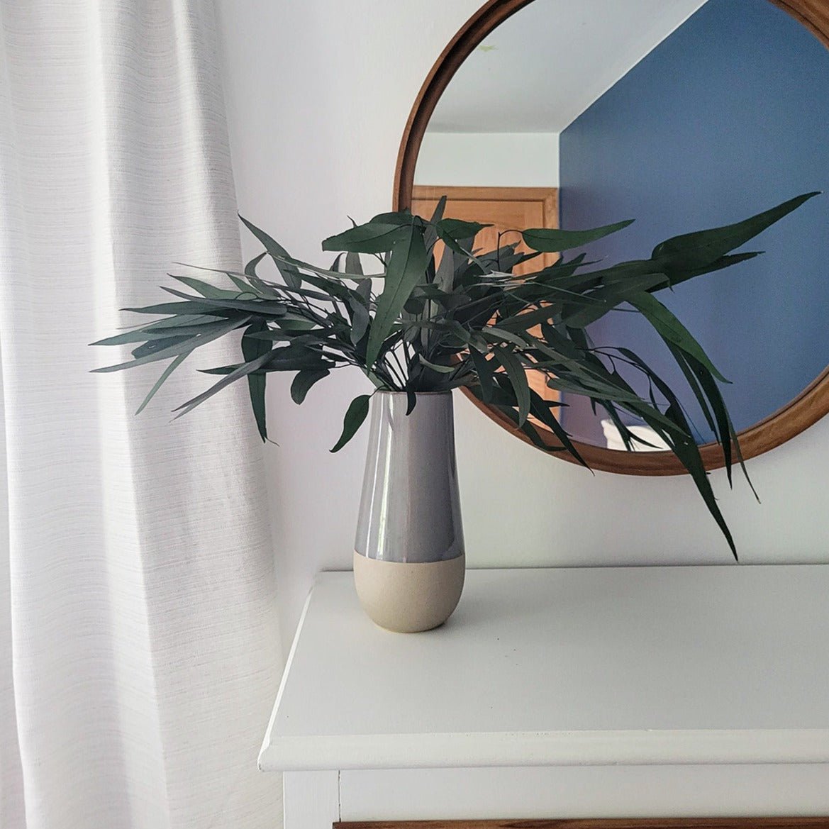 Deep Green Preserved Willow Eucalyptus - Mossy Moss by Olia