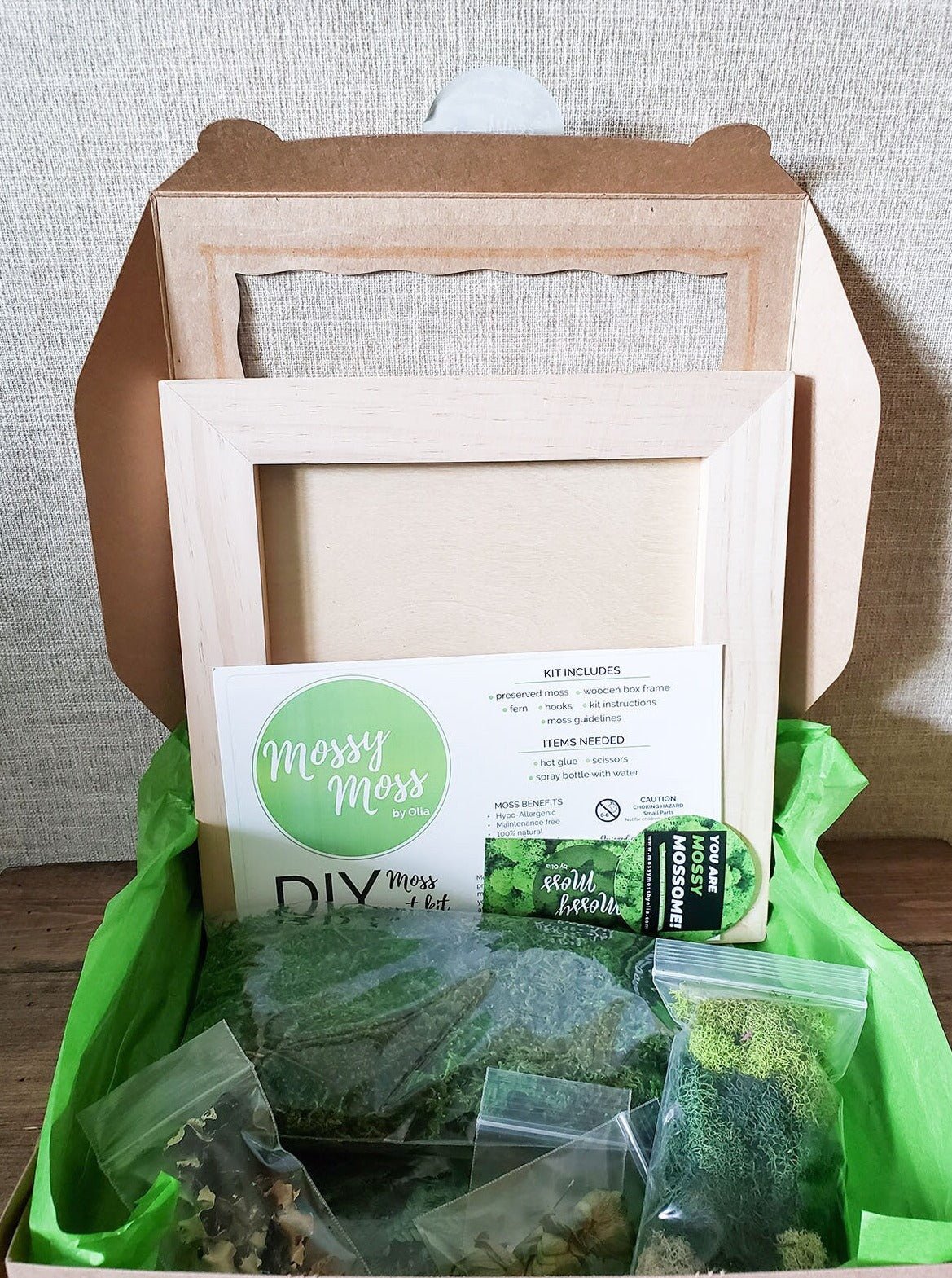 DIY Preserved Moss Kit - Mossy Moss by Olia