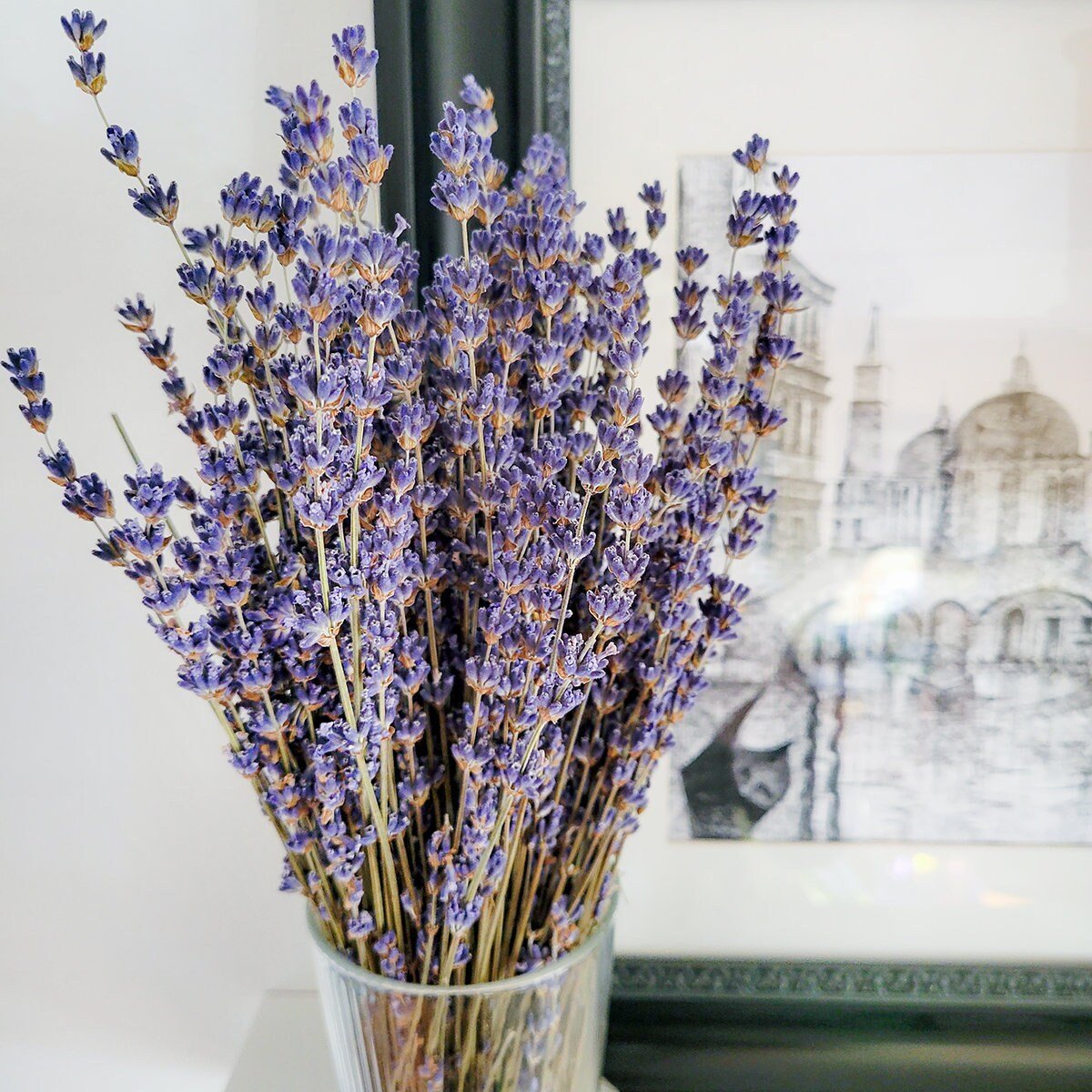 Dried French Lavender Bundle w embroidered Lavender Sachet - Mossy Moss by Olia