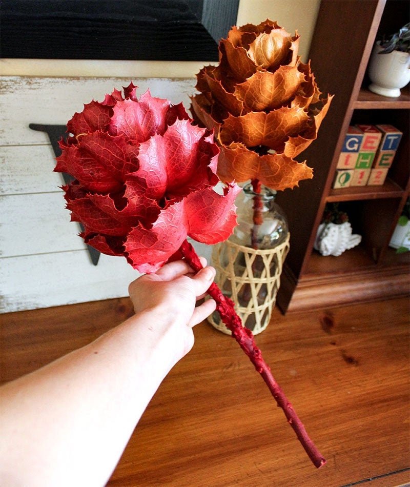 Dried KING Protea Flower - Mossy Moss by Olia
