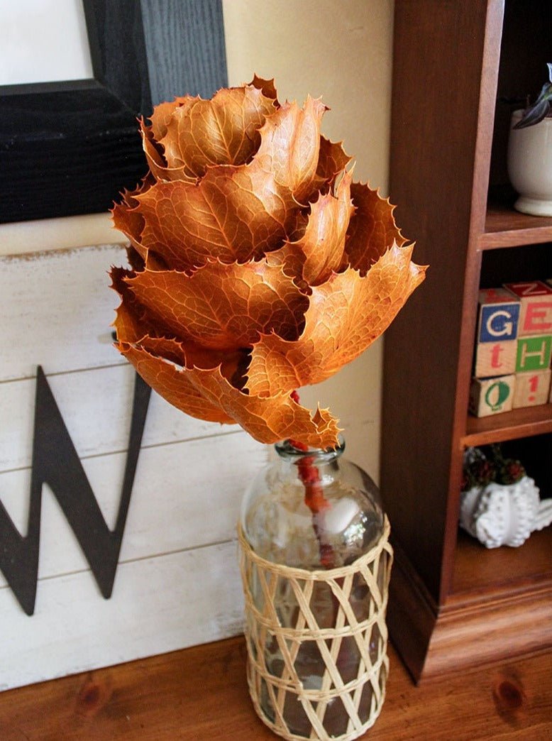 Dried KING Protea Flower - Mossy Moss by Olia
