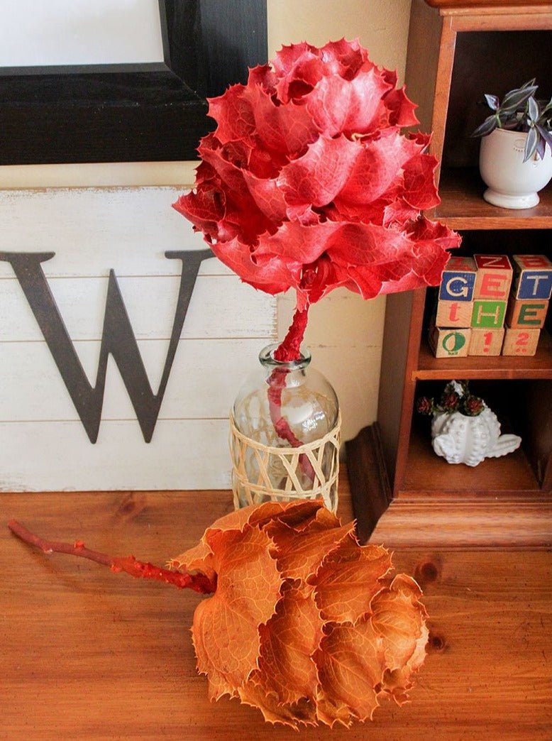 Dried KING Protea Flower - Mossy Moss by Olia