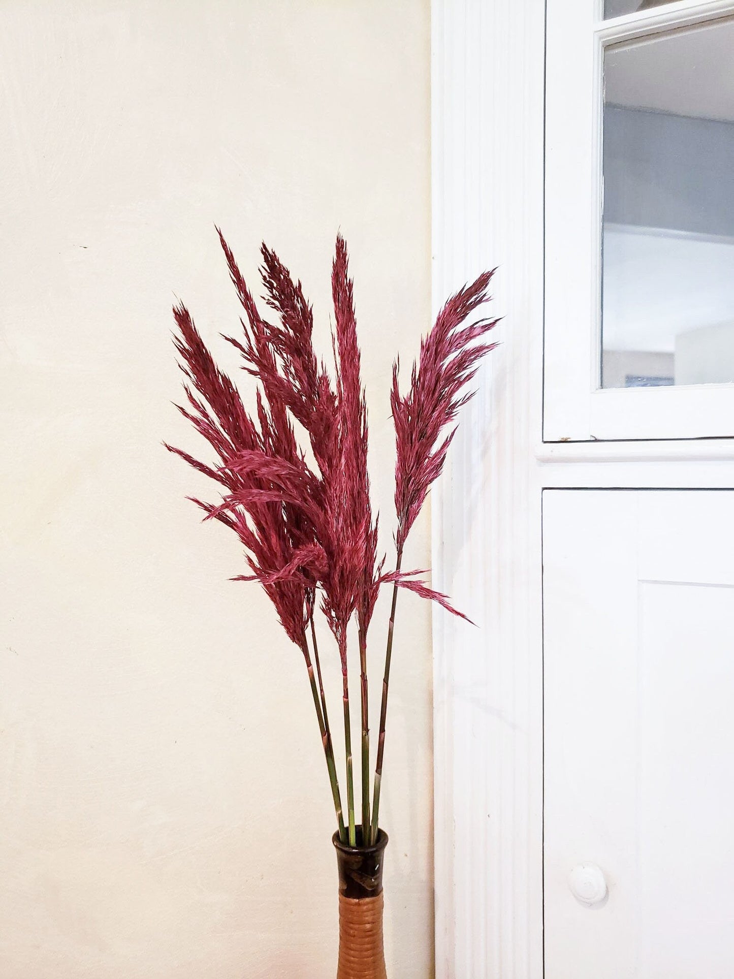 Dried Merlot Plume Reed Grass - Mossy Moss by Olia