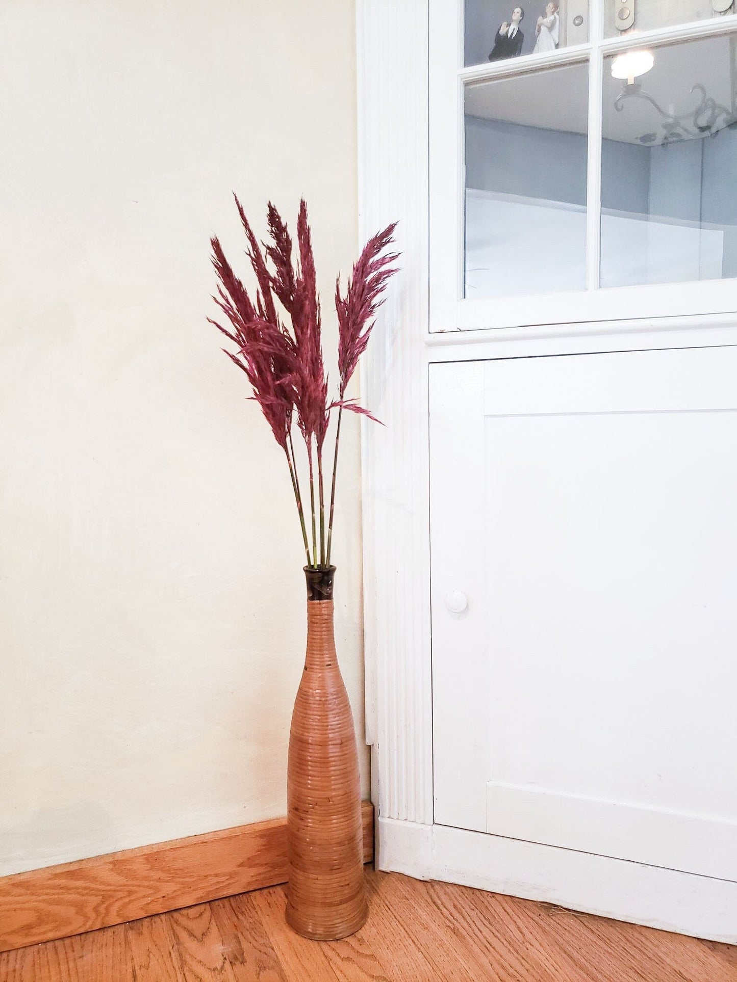 Dried Merlot Plume Reed Grass - Mossy Moss by Olia