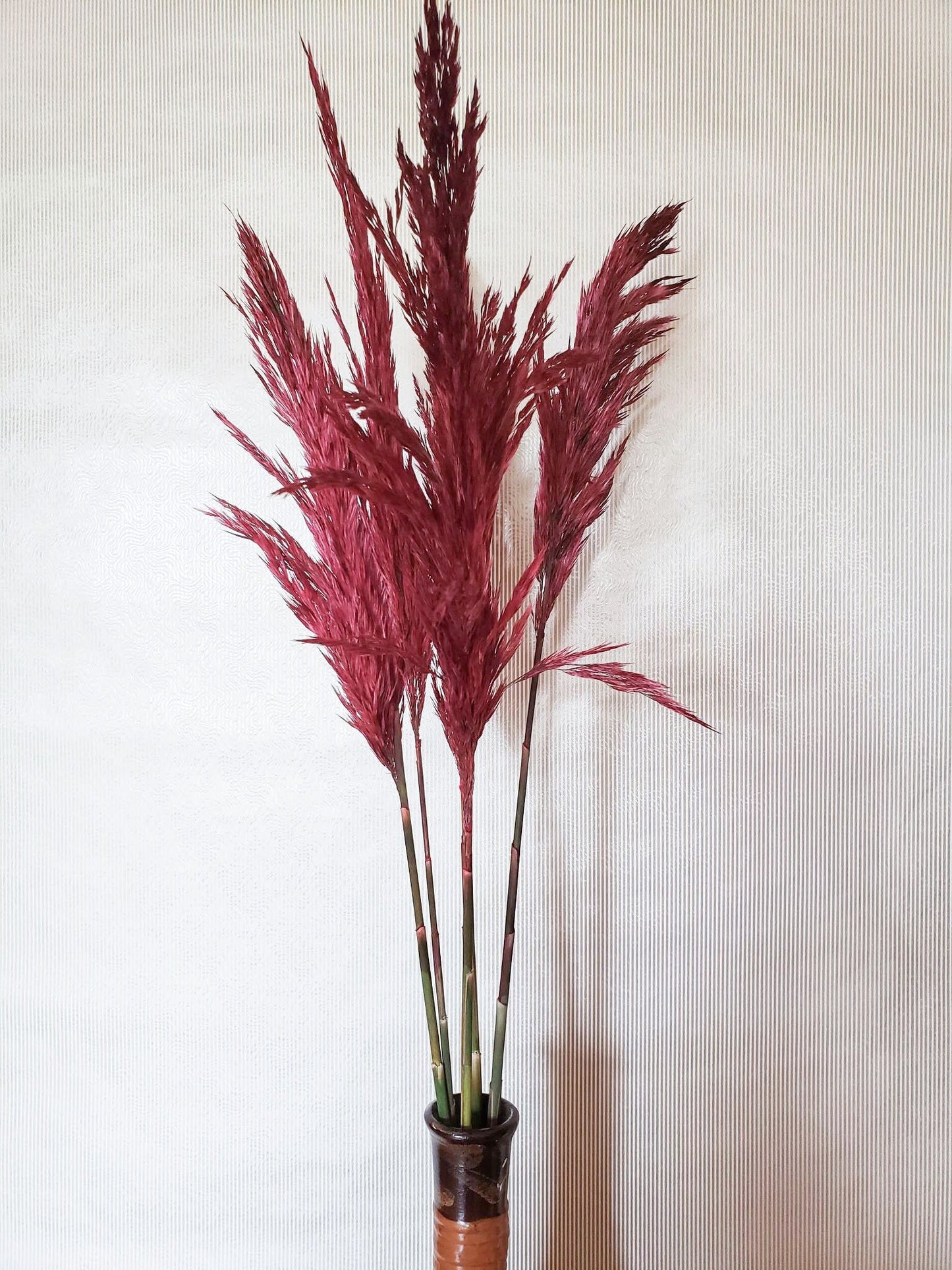 Dried Merlot Plume Reed Grass - Mossy Moss by Olia