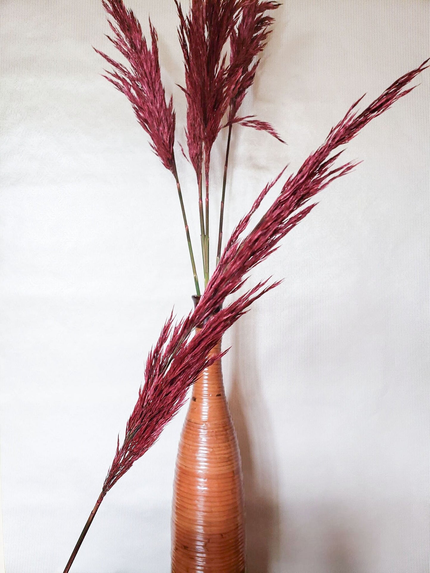 Dried Merlot Plume Reed Grass - Mossy Moss by Olia