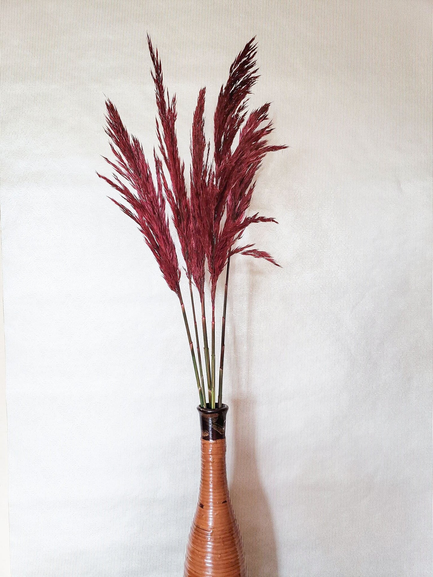 Dried Merlot Plume Reed Grass - Mossy Moss by Olia