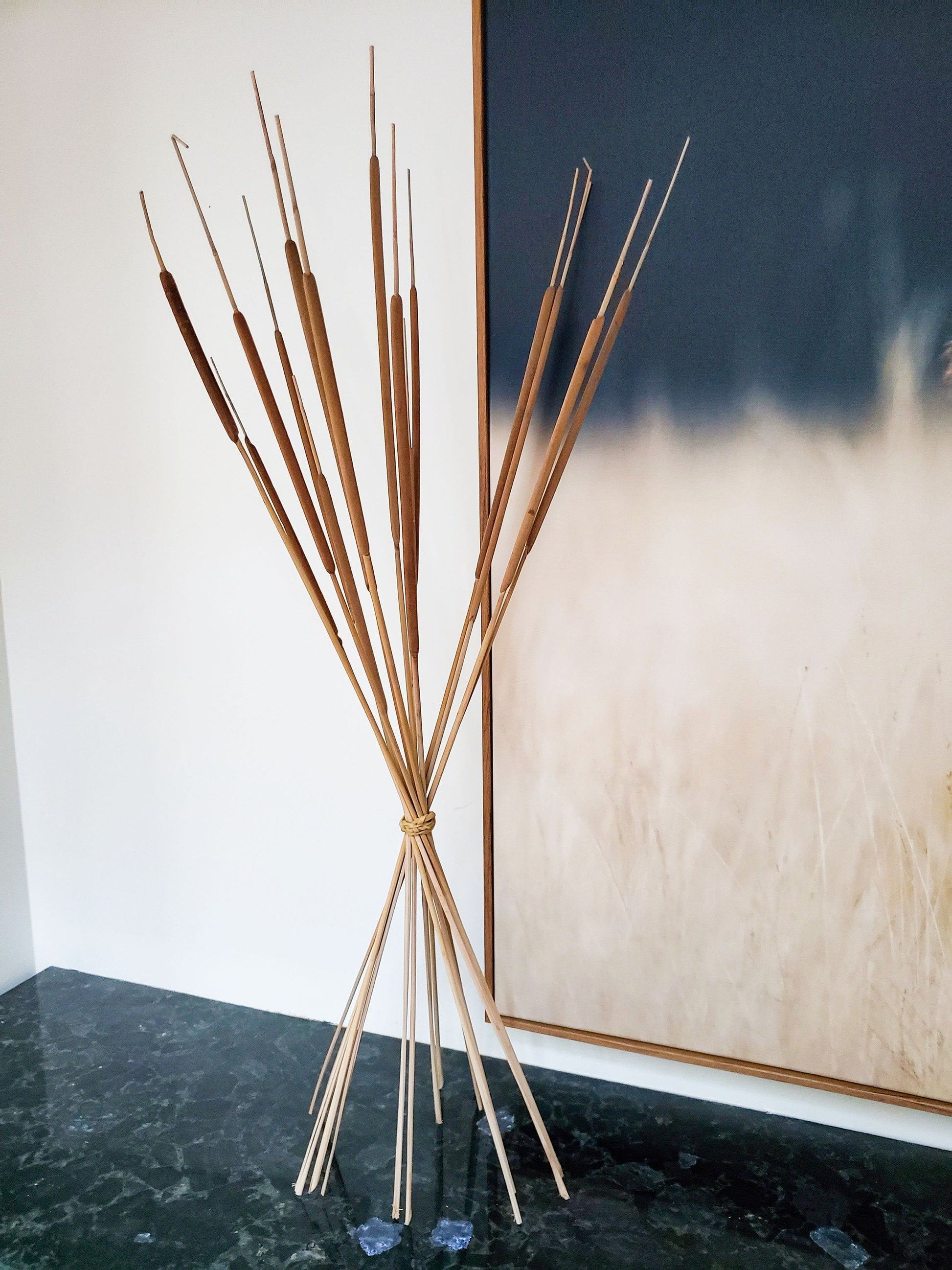 Dried Natural Cattails - Mossy Moss by Olia