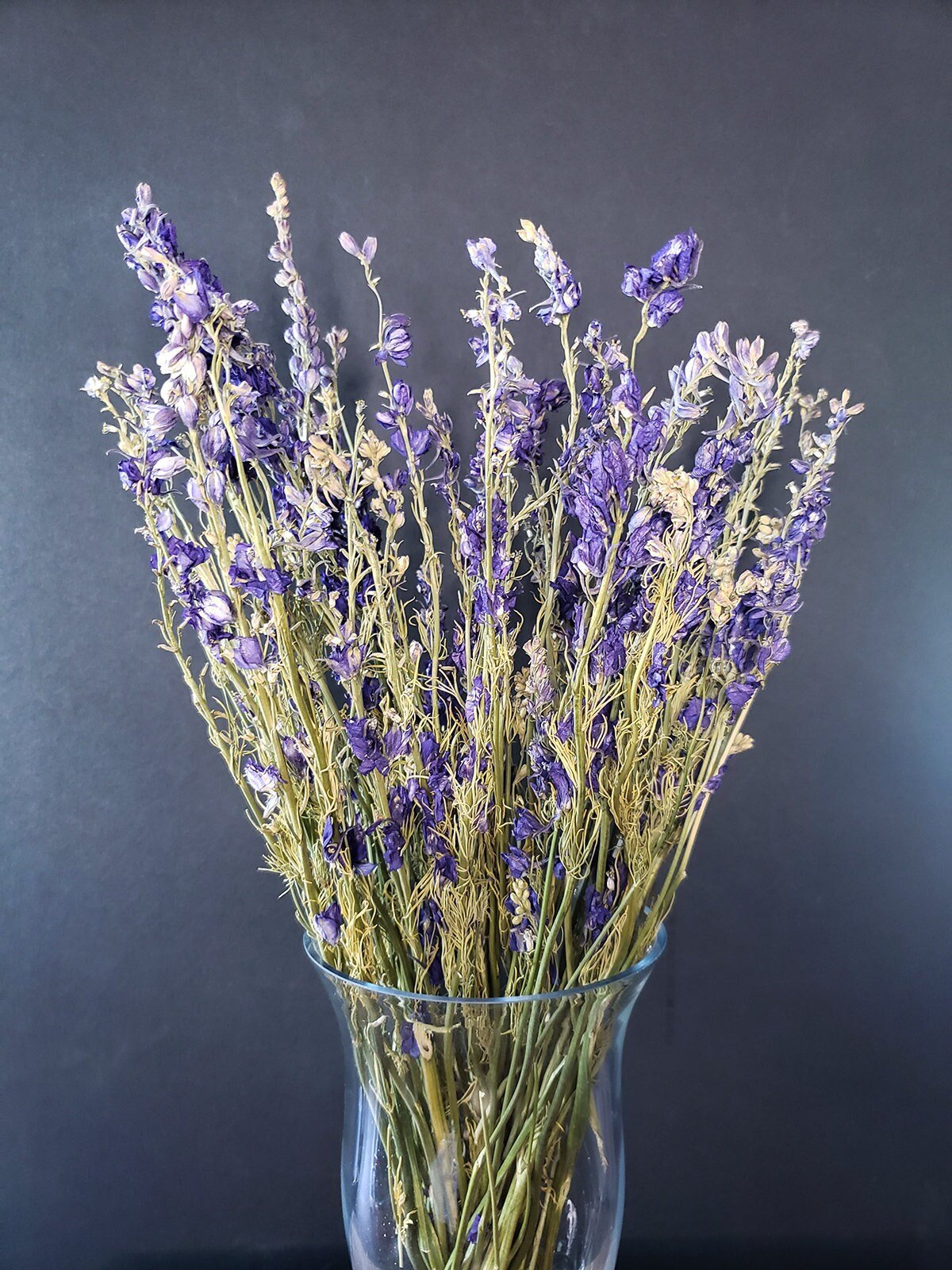 Dried Purple Blue Larkspur - Mossy Moss by Olia
