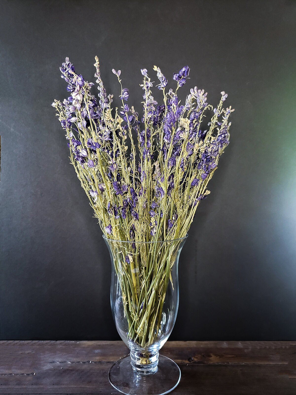 Dried Purple Blue Larkspur - Mossy Moss by Olia
