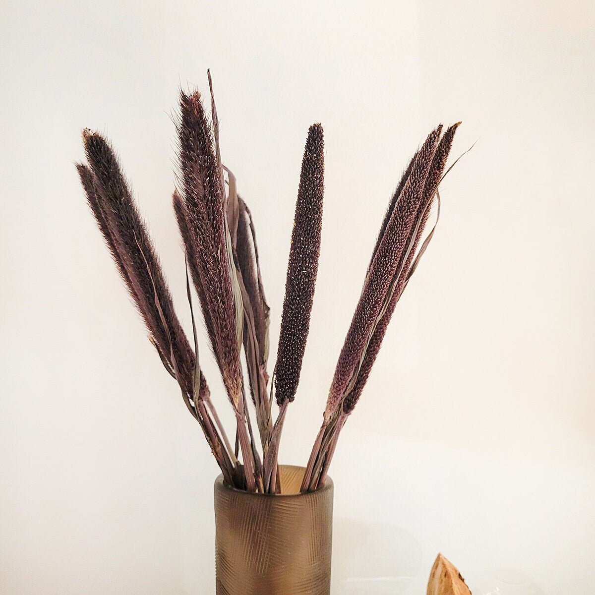 Dried Purple Majesty Millet - Mossy Moss by Olia