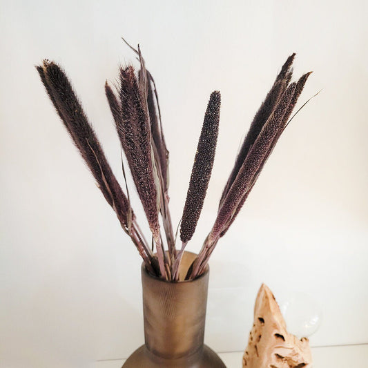 Dried Purple Majesty Millet - Mossy Moss by Olia
