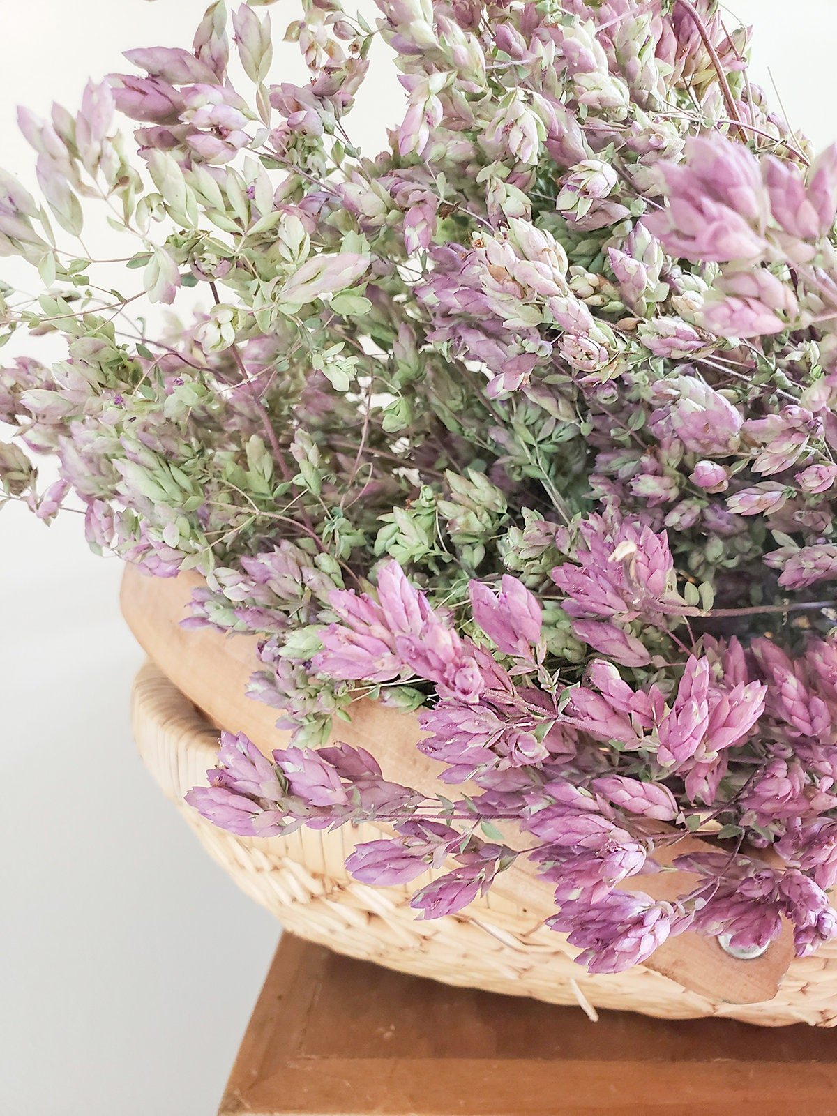 Dried Purple Oregano Santa Cruz - Mossy Moss by Olia