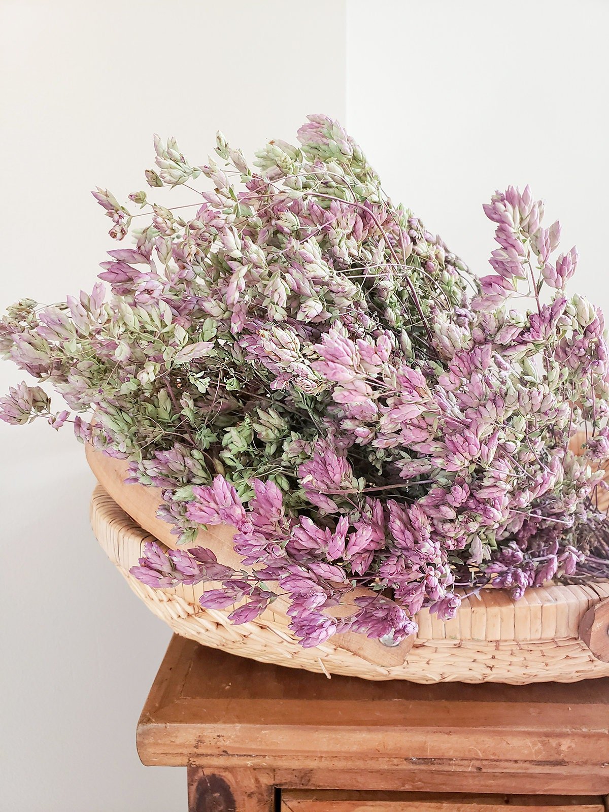 Dried Purple Oregano Santa Cruz - Mossy Moss by Olia