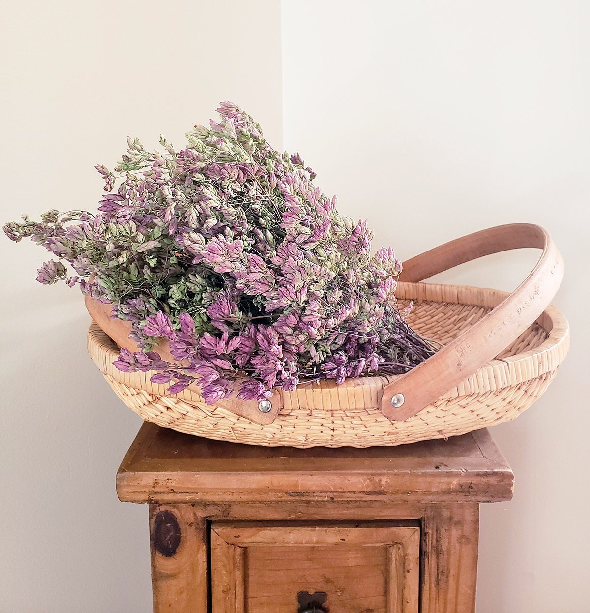 Dried Purple Oregano Santa Cruz - Mossy Moss by Olia