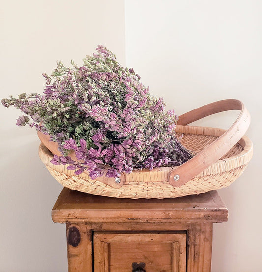 Dried Purple Oregano Santa Cruz - Mossy Moss by Olia