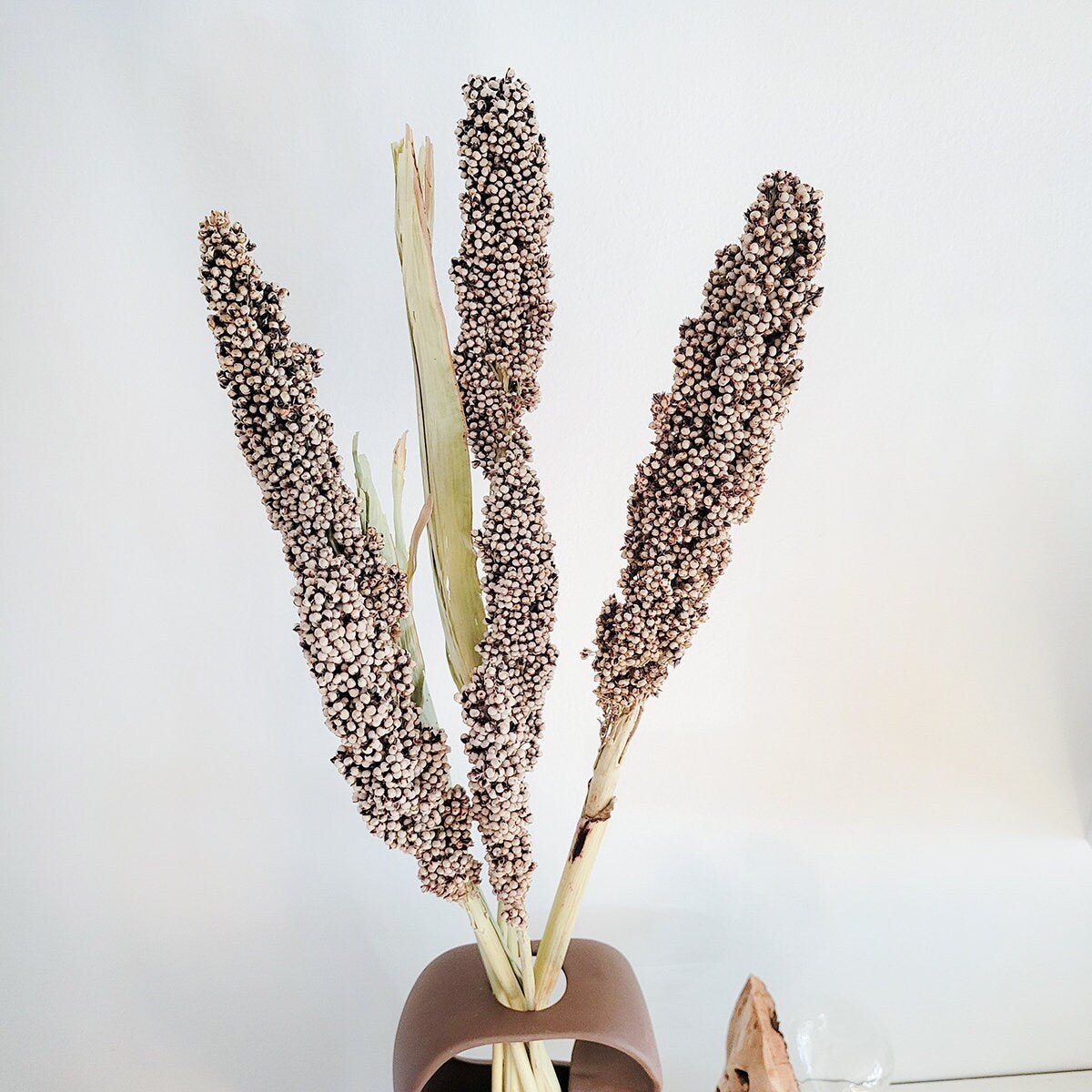 Dried Tall Pinto Berries Stems - Mossy Moss by Olia