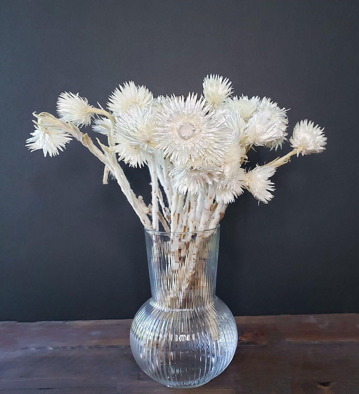 Dried White Everlasting Straw Flowers - Mossy Moss by Olia