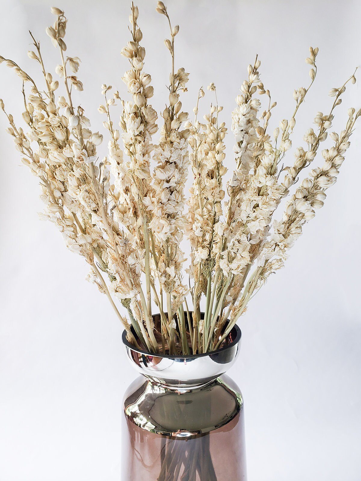 Dried White Larkspur - Mossy Moss by Olia