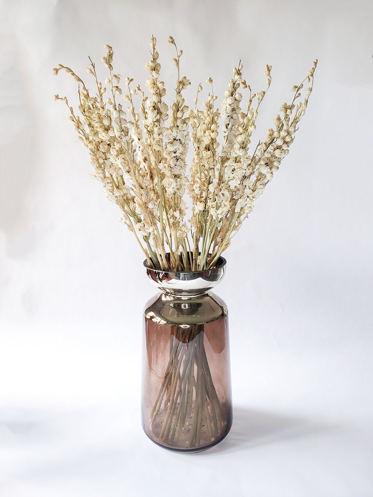 Dried White Larkspur - Mossy Moss by Olia