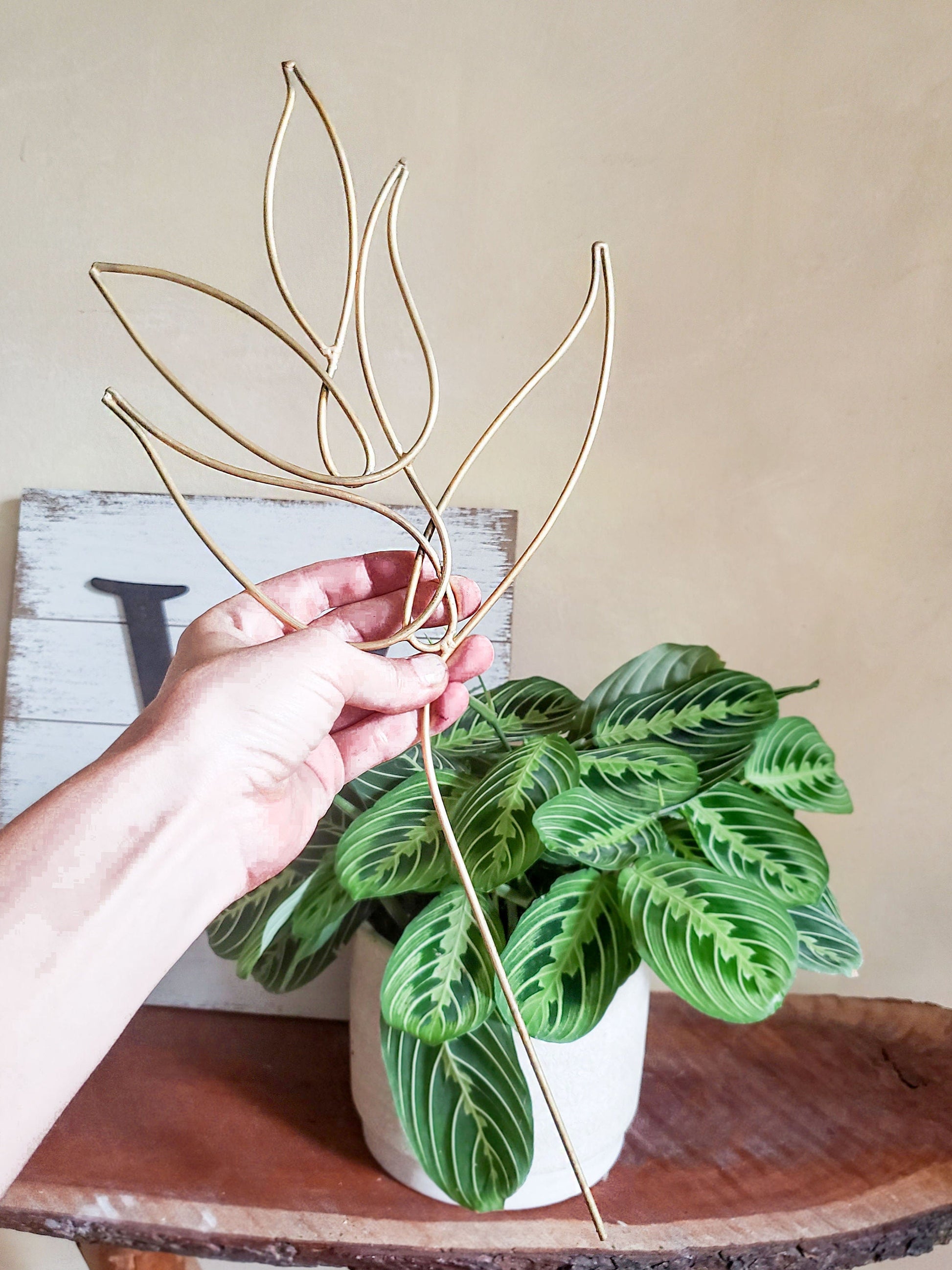 Gold Metal Boho Plant Stick Trellis - Mossy Moss by Olia