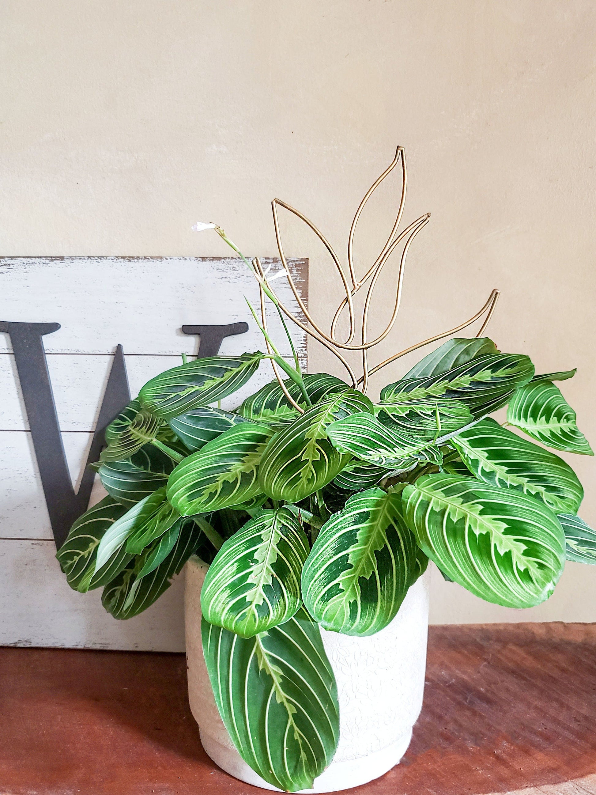 Gold Metal Boho Plant Stick Trellis - Mossy Moss by Olia