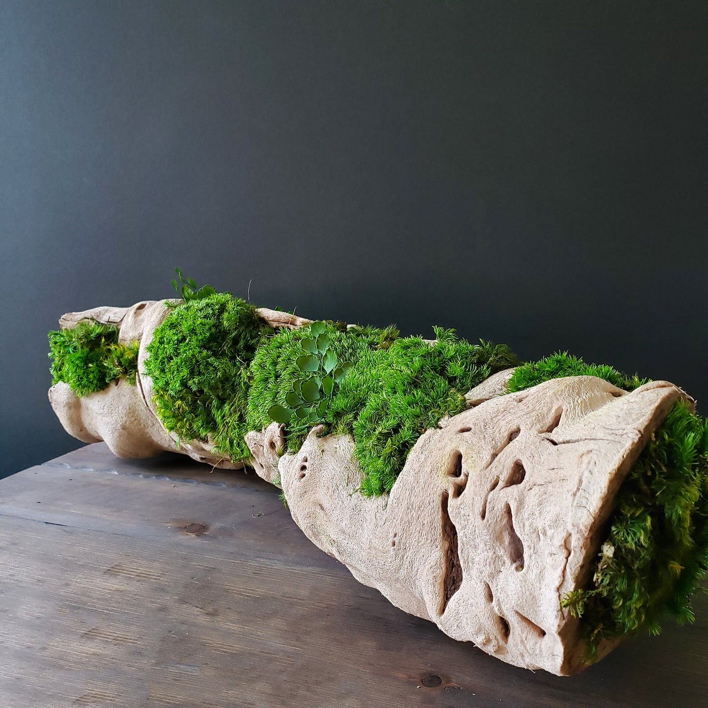 Grapewood log centerpiece with Preserved Moss