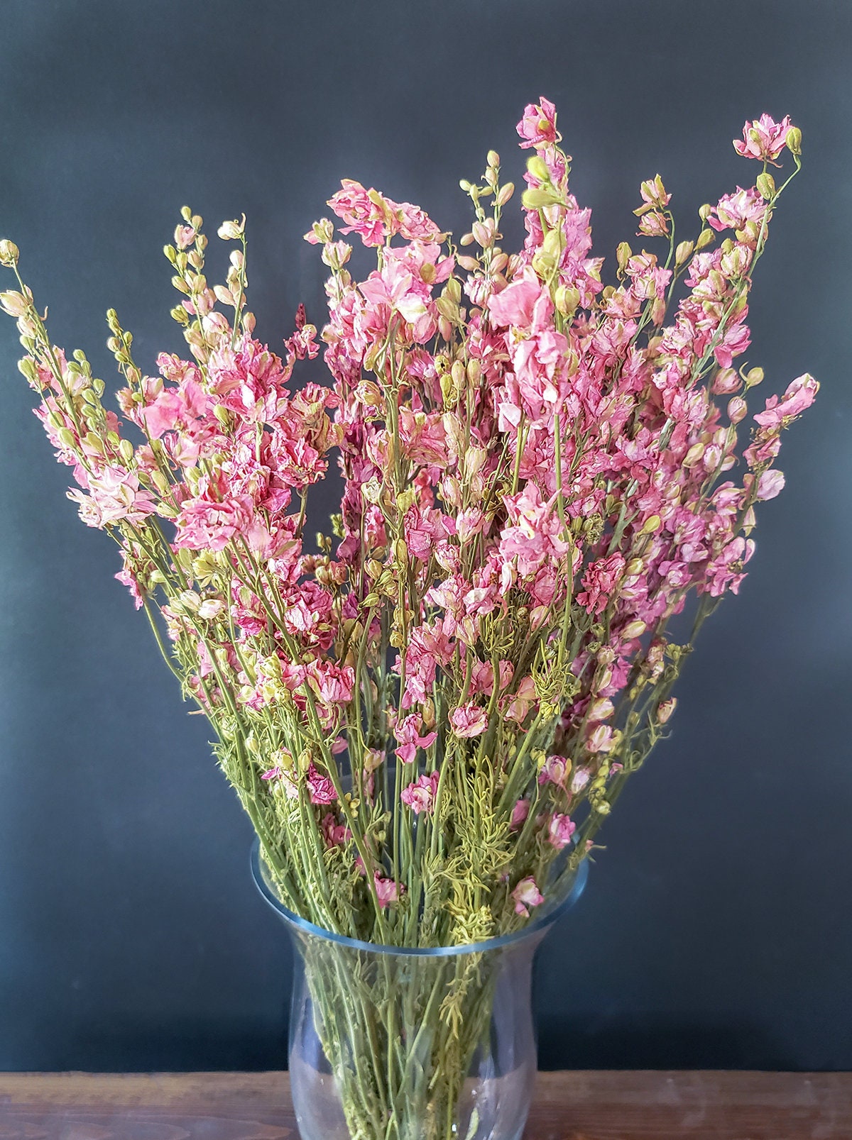 Dried Pink Larkspur