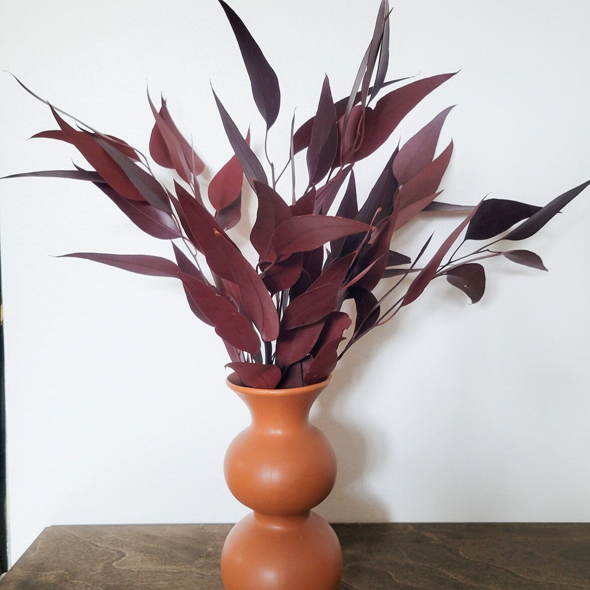 Bundle of Merlot Preserved Willow Eucalyptus