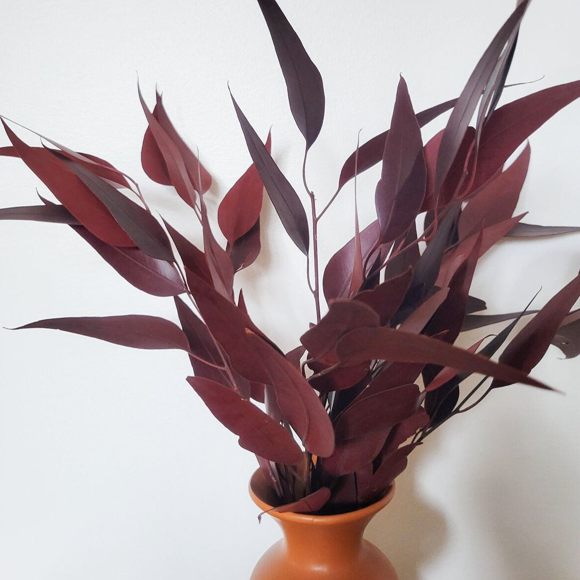 Bundle of Merlot Preserved Willow Eucalyptus